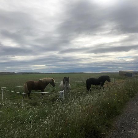 فيلا Þrandarholt Hreppholar المظهر الخارجي الصورة